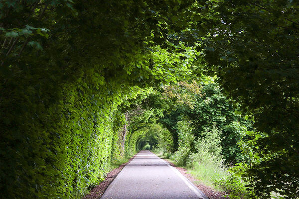 IBP Wandertag_2025_09